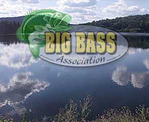 2025 Side Pool Largemouth Bass Leaders