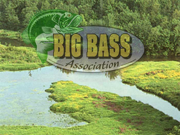 Big Bass Association of NJ